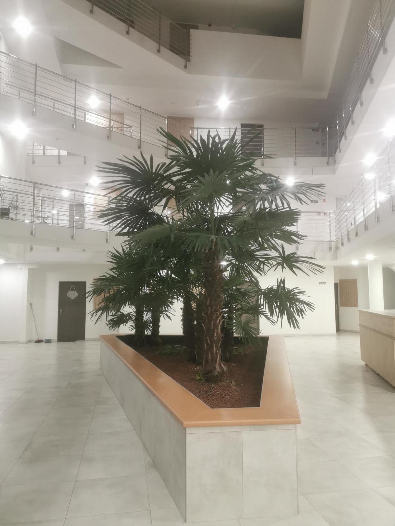 Beli Apartman Melygarazzsal Heviz Luaran gambar